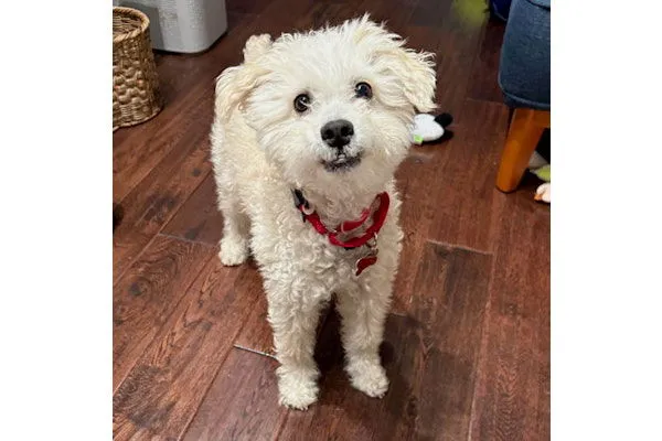 Bob Marley - Photo 1