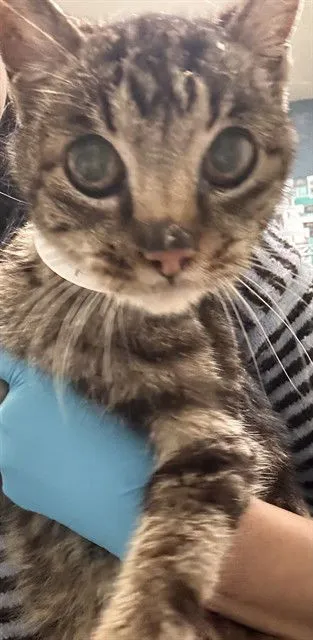 Marie Jane - Photo 1