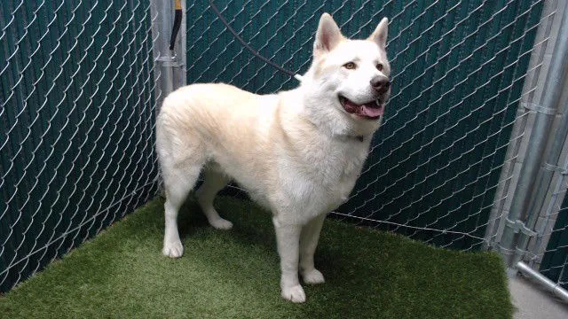 Frances Buckley - Photo 1