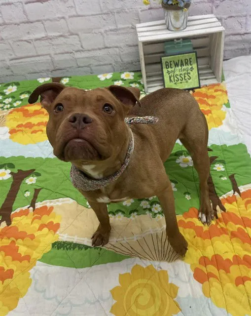 Lindsay Lou - Photo 1