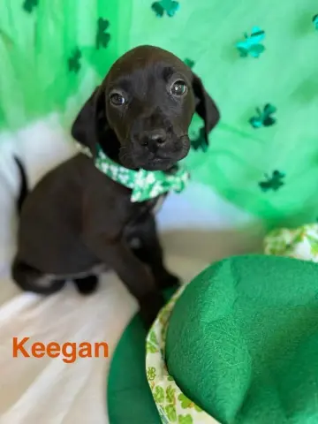 Keegan