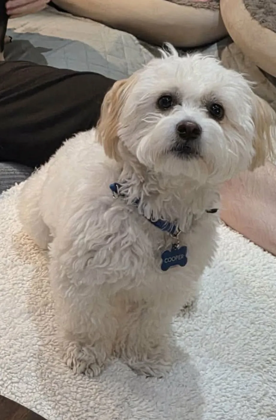 Portobello - Photo 1