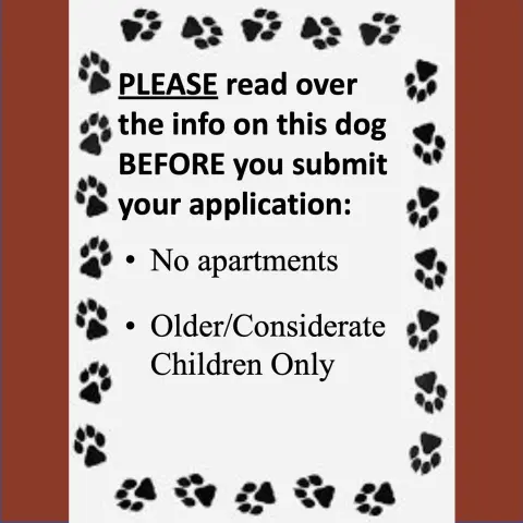 Half Pint thumbnail 4