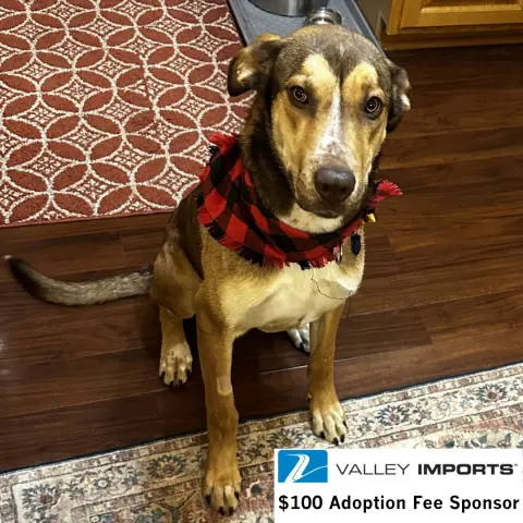 Rudy Gobert thumbnail 1