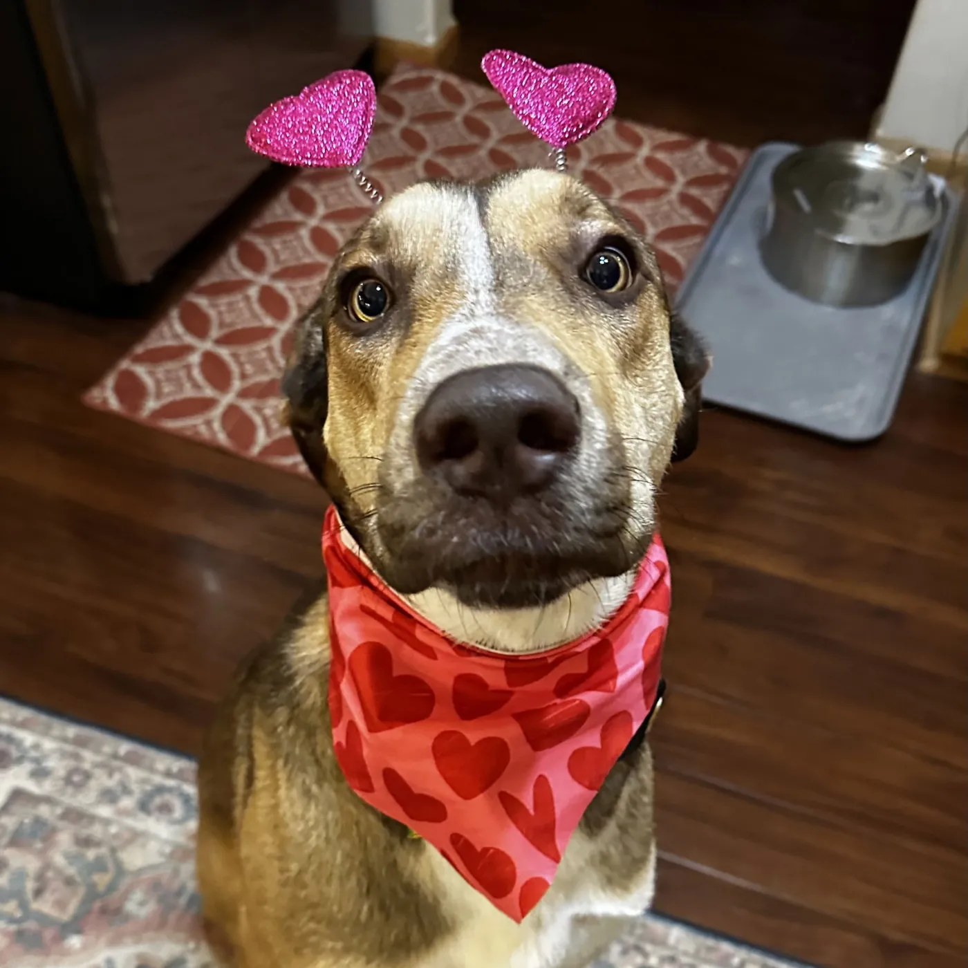 Rudy Gobert - Photo 3