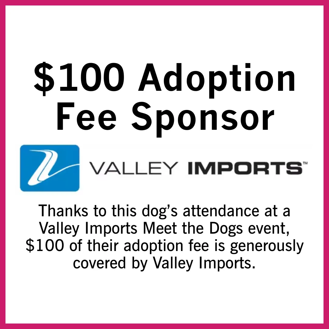 Rudy Gobert - Photo 4