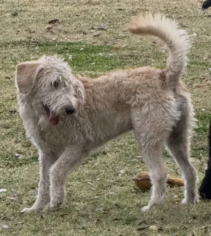 Poseidon thumbnail 2