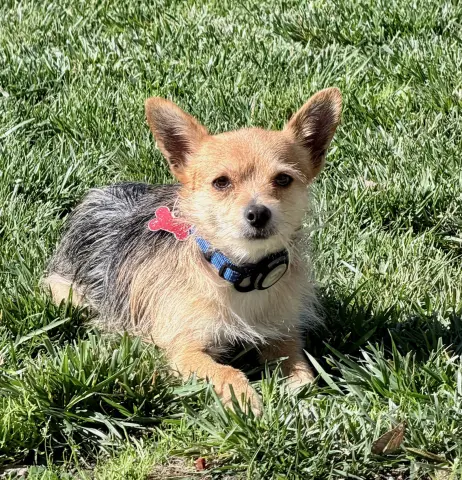 Paperback thumbnail 1