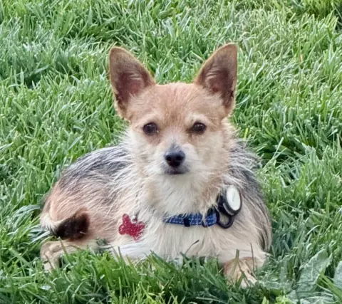 Paperback thumbnail 2