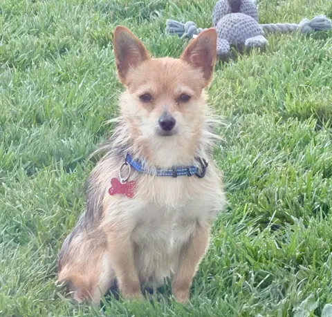 Paperback thumbnail 3