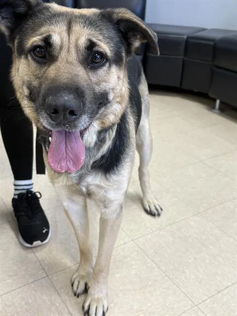 Polo Johnson - Photo 1