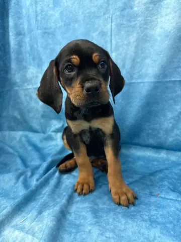 Lip Gallagher thumbnail 2