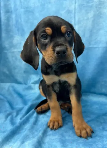 Lip Gallagher thumbnail 4