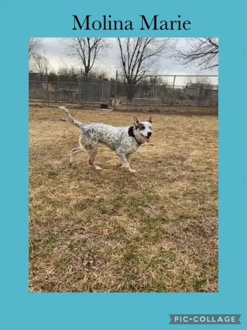 Molina Marie thumbnail 1