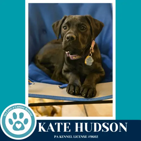 Kate Hudson thumbnail 1