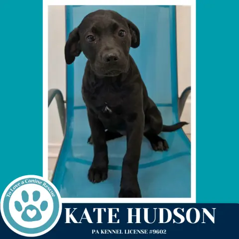 Kate Hudson thumbnail 2