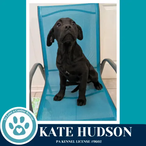 Kate Hudson thumbnail 3