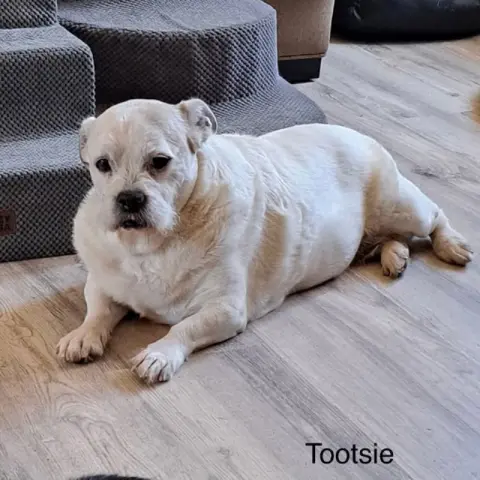 Tootsie Roll