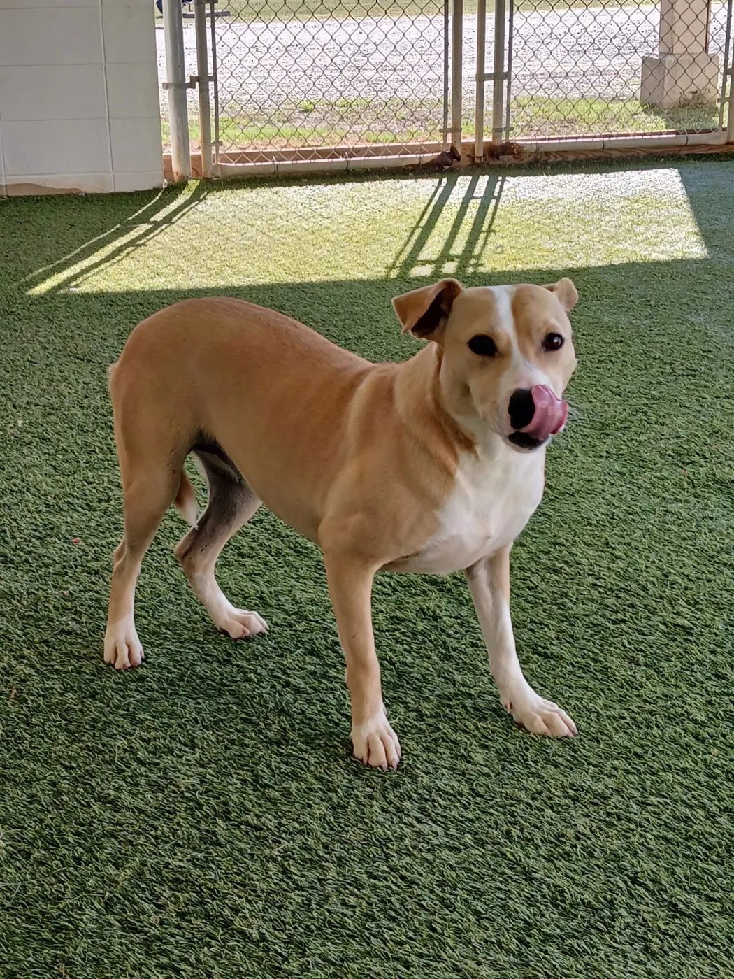 Sassy Dixon - Photo 1