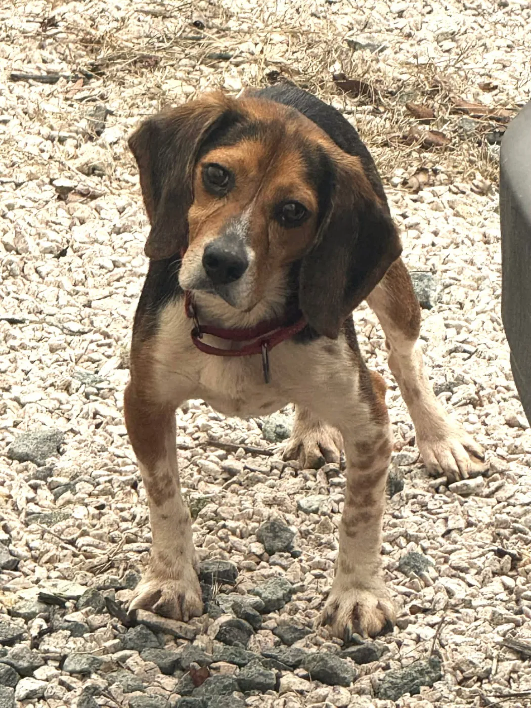 Biggie Smalls - Photo 3