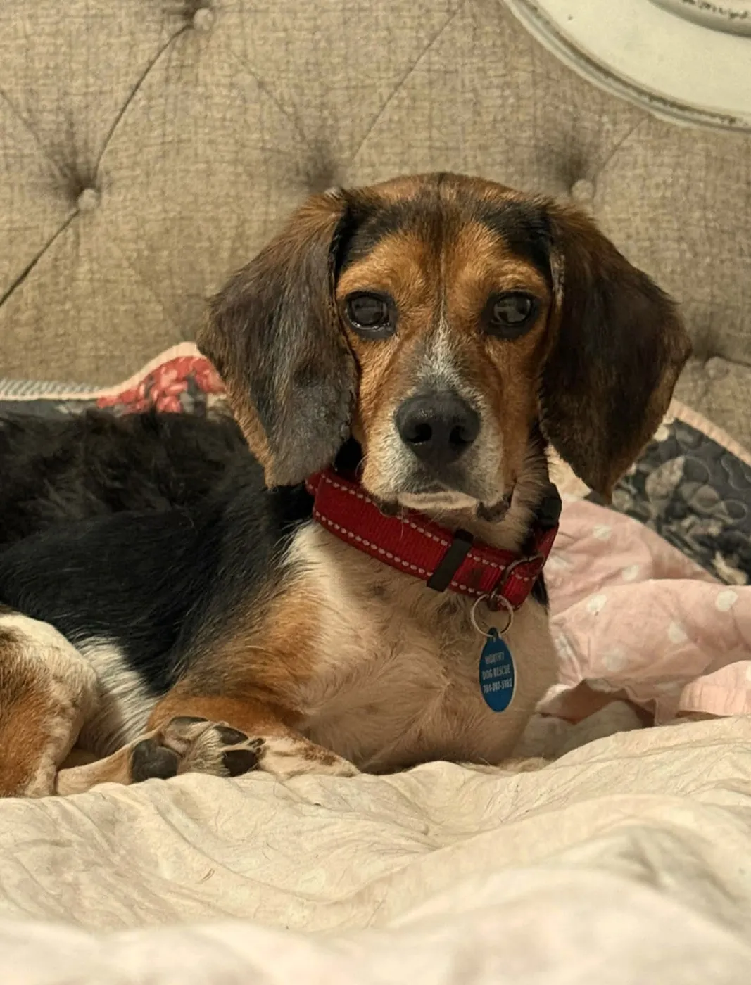 Biggie Smalls - Photo 4