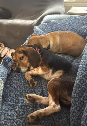 Biggie Smalls thumbnail 5