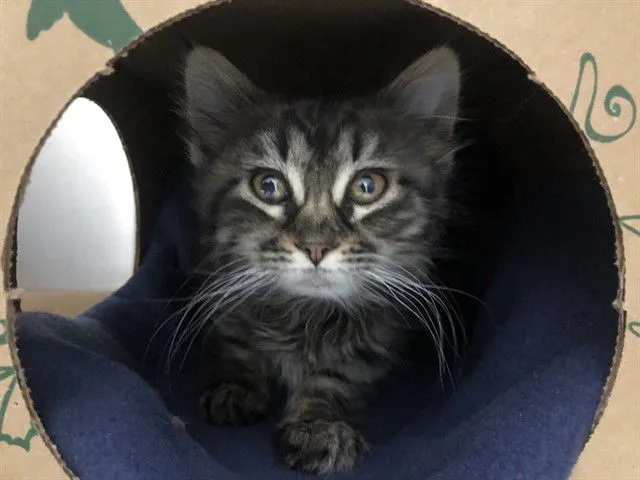 Kim Possible - Photo 1