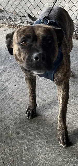 Bernadette - Photo 1