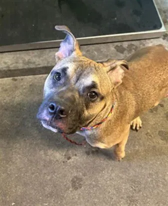 Rollie Pollie - Photo 1